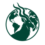 Caza internacional