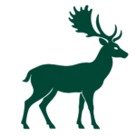 Gamo