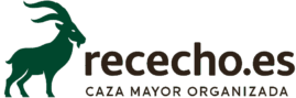 Rececho.es