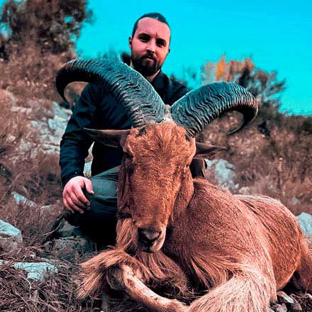Rececho de arruí en Alicante en montaña abierta — rececho.es