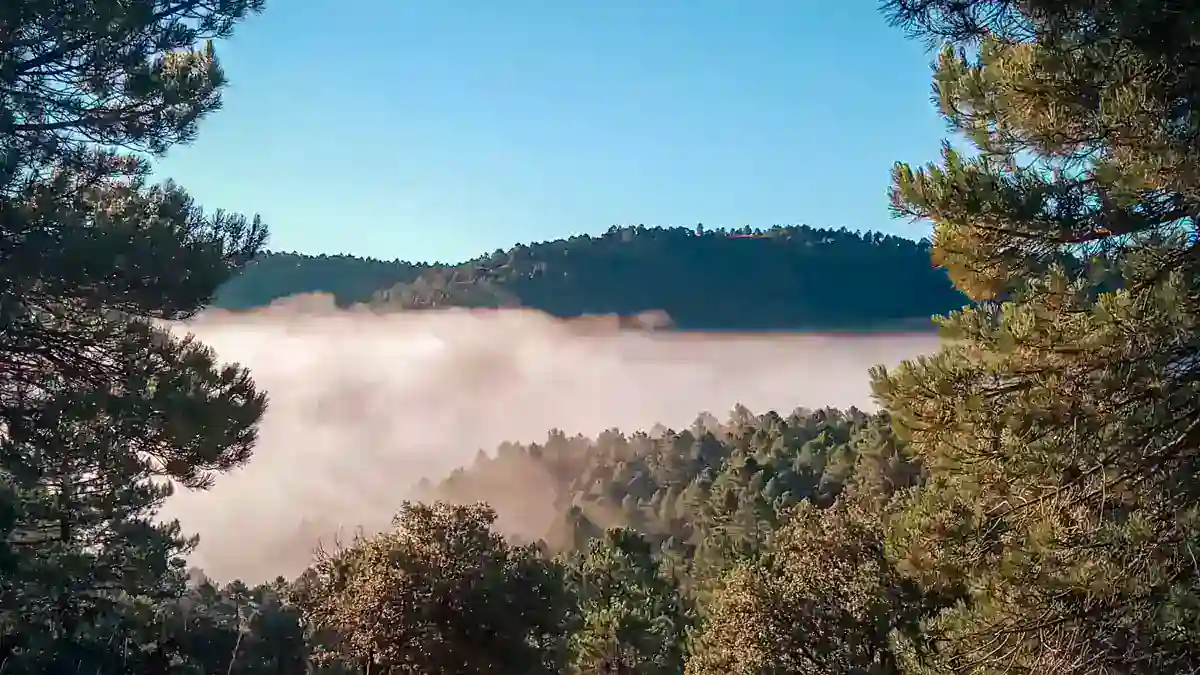 Paisaje de la Sierra Sur de Albacete donde se organizan recechos