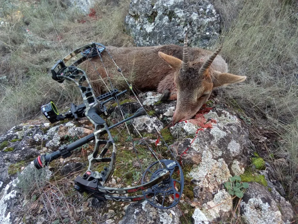 Galería de Hunting in Spain