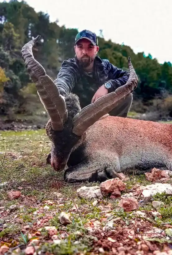 Macho montés Selectivo · Sierra de Alcaraz